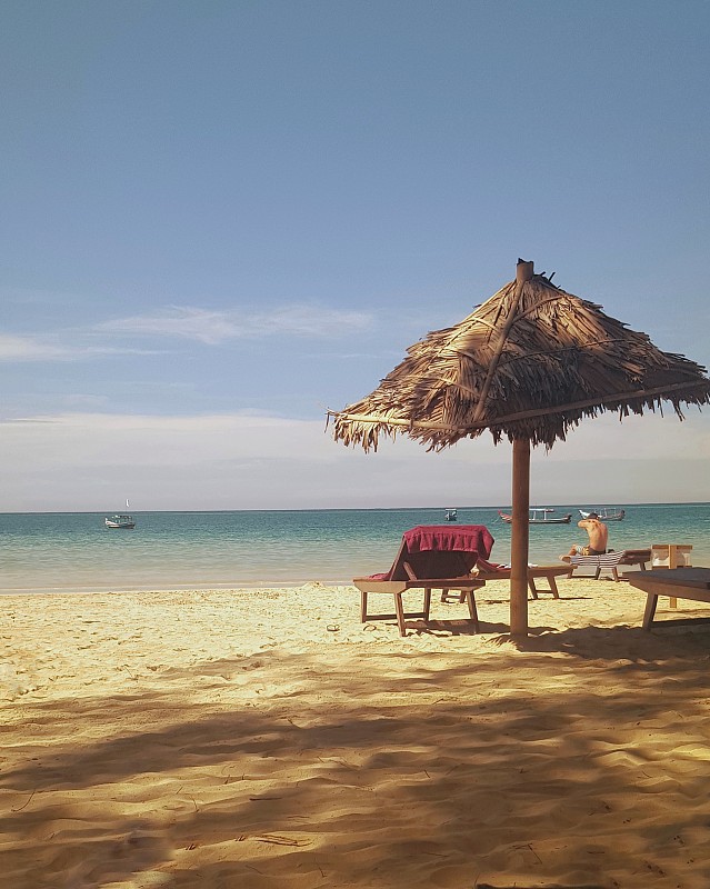 缅甸田园诗般的Ngapali海滩上的茅草遮阳伞图片下载