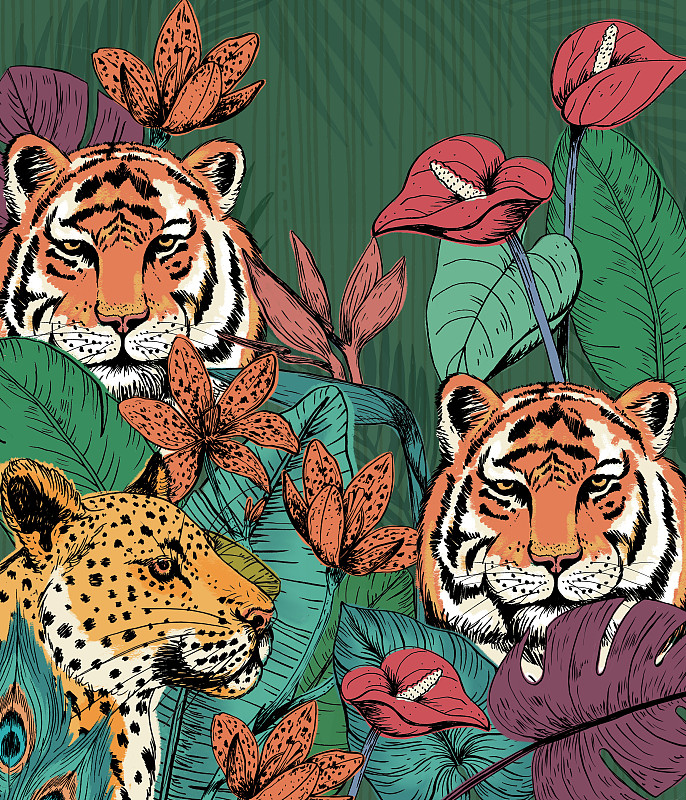 森林里的老虎和猎豹图片下载
