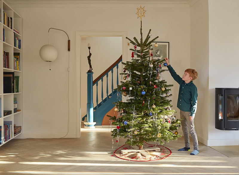 男孩在家里装饰圣诞树图片素材
