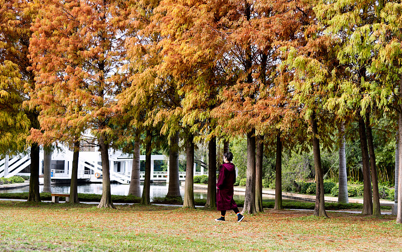 在秋天的公园里散步的女人图片下载