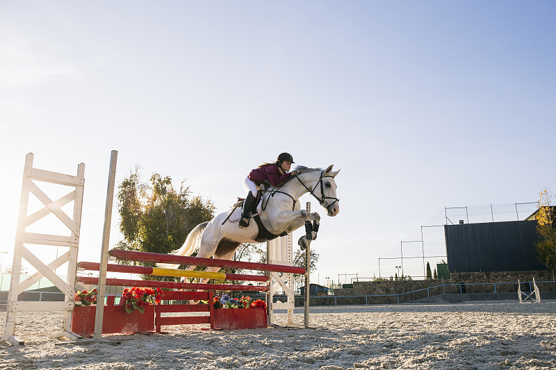 在晴朗的天气下，骑师在训练场上骑着白马越过栏架图片下载