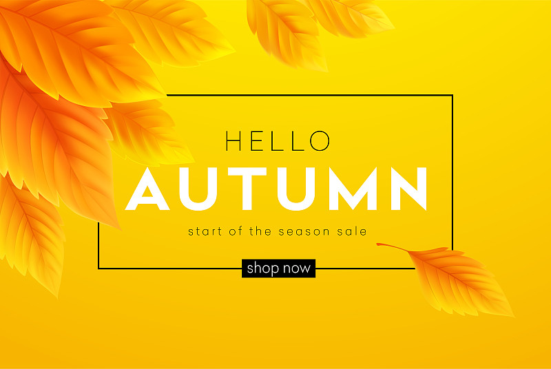 你好秋天销售背景与现实的黄色秋天的树叶。矢量图下载
