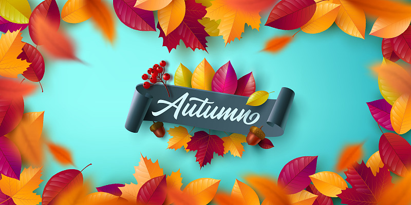 秋季海报和横幅模板与五颜六色的枫，橡树秋天的树叶。问候和礼物秋季在平躺造型。秋季或秋季概念的推广模板图片素材