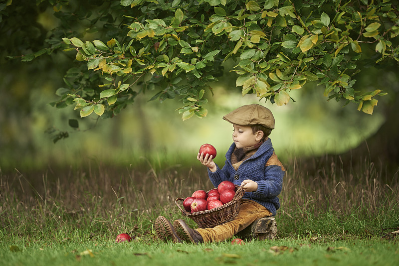 一个白人小男孩带着一篮子苹果坐在树下的草地上图片素材