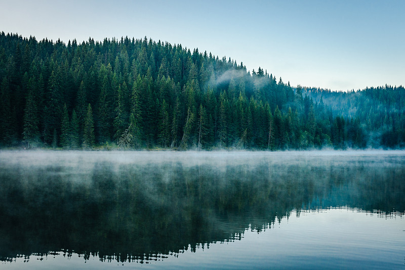 晨雾笼罩着一个美丽的湖，周围是松树林的照片摄影图片下载