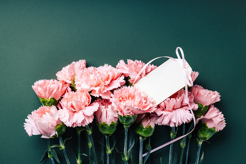 康乃馨花束与空白标签。图片下载