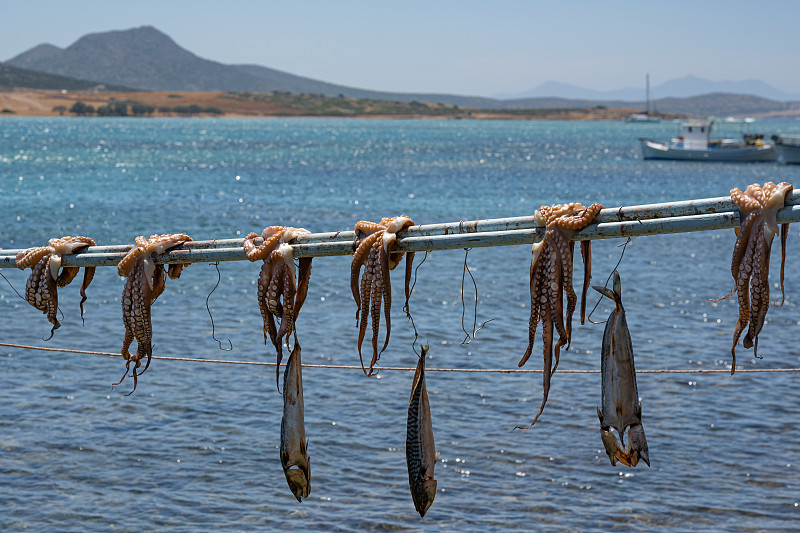 希腊食物-章鱼晒干-圣乔治，安提帕洛斯，基克拉迪斯，希腊摄影图片