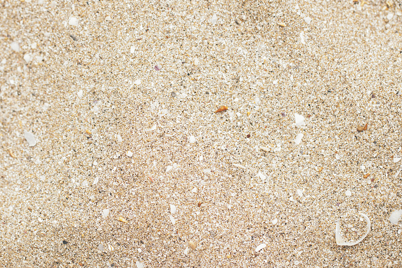 沙滩:沙滩的纹理摄影图片