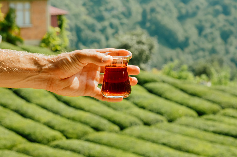 以种植园为背景的茶水小玻璃杯。男性手持杯土耳其茶图片下载