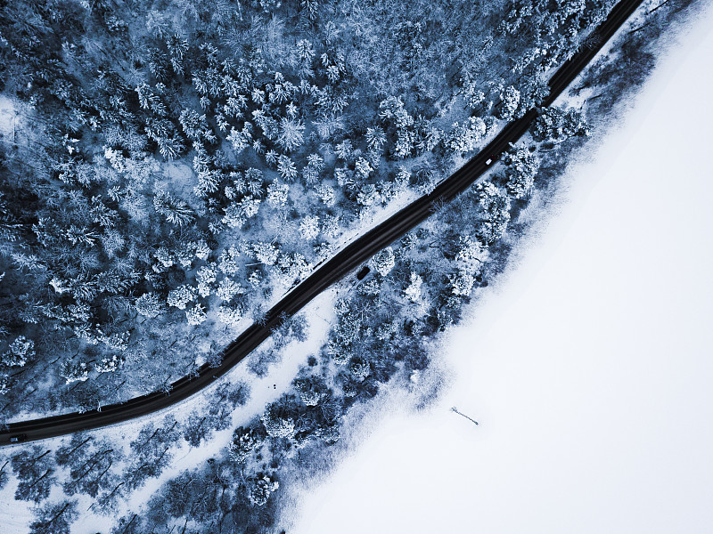 雪林中，冷杉树环绕的道路图片下载