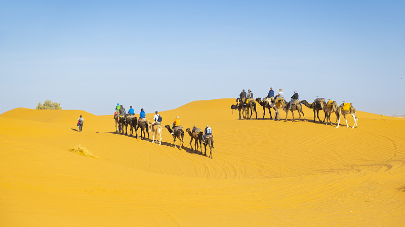 摩洛哥撒哈拉沙漠的梅尔祖加，Erg Chebbi，游客在沙漠中骑骆驼图片下载