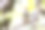 可爱的日本灌木莺(Horornis diphone，由灌木莺组成的家族)在灌木丛中发出美丽而响亮的啁啾声。日本神奈川县相模原市Hayatogawa森林路，摄于2024年4月。摄影图片