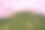 无人机拍摄的粉红樱花花树鸟瞰图。山上粉红色的花盛开的景色摄影图片