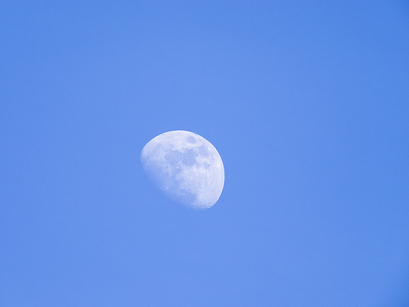 在晴朗的蓝天上看到一轮凸月图片下载