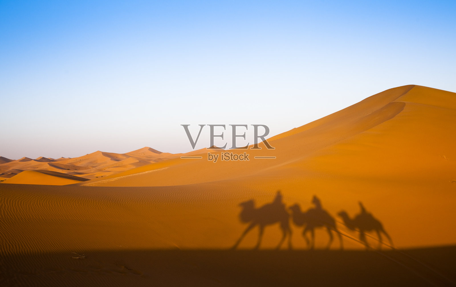 三个骑着骆驼的男人的剪影穿过沙漠照片摄影图片