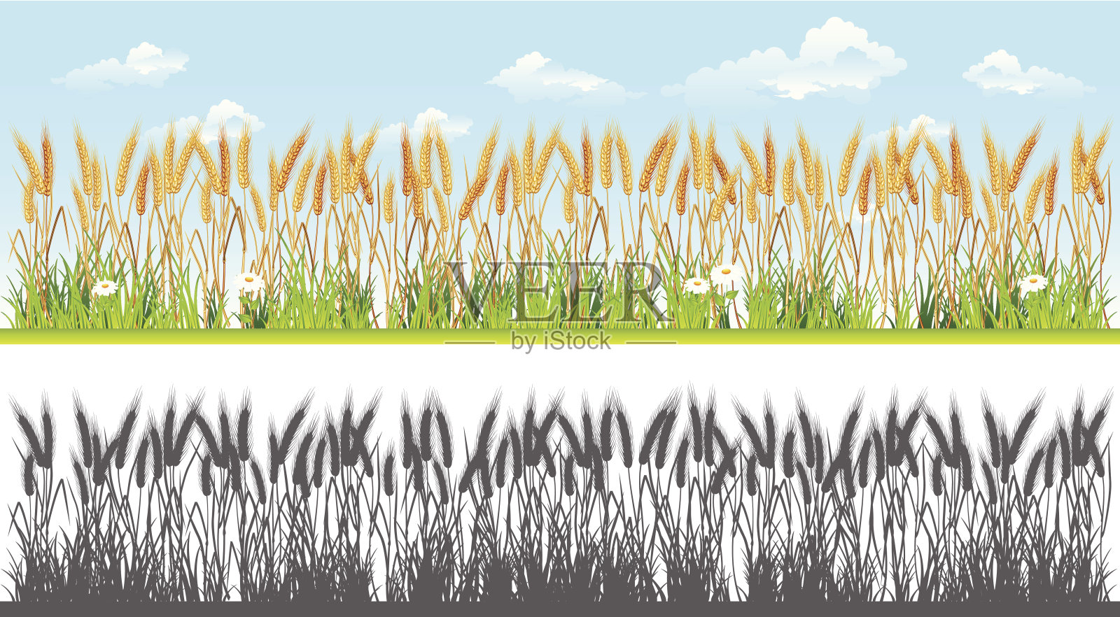 景观与小麦插画图片素材