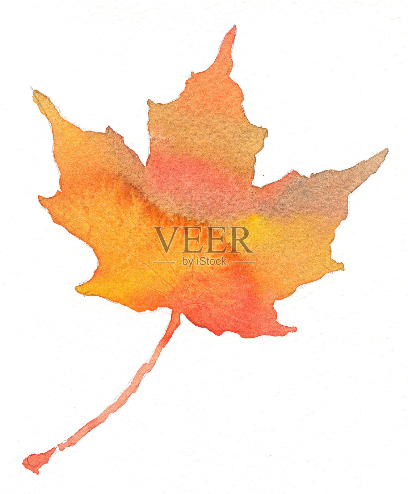 枫叶在秋天橙色和红色的颜色插画图片素材