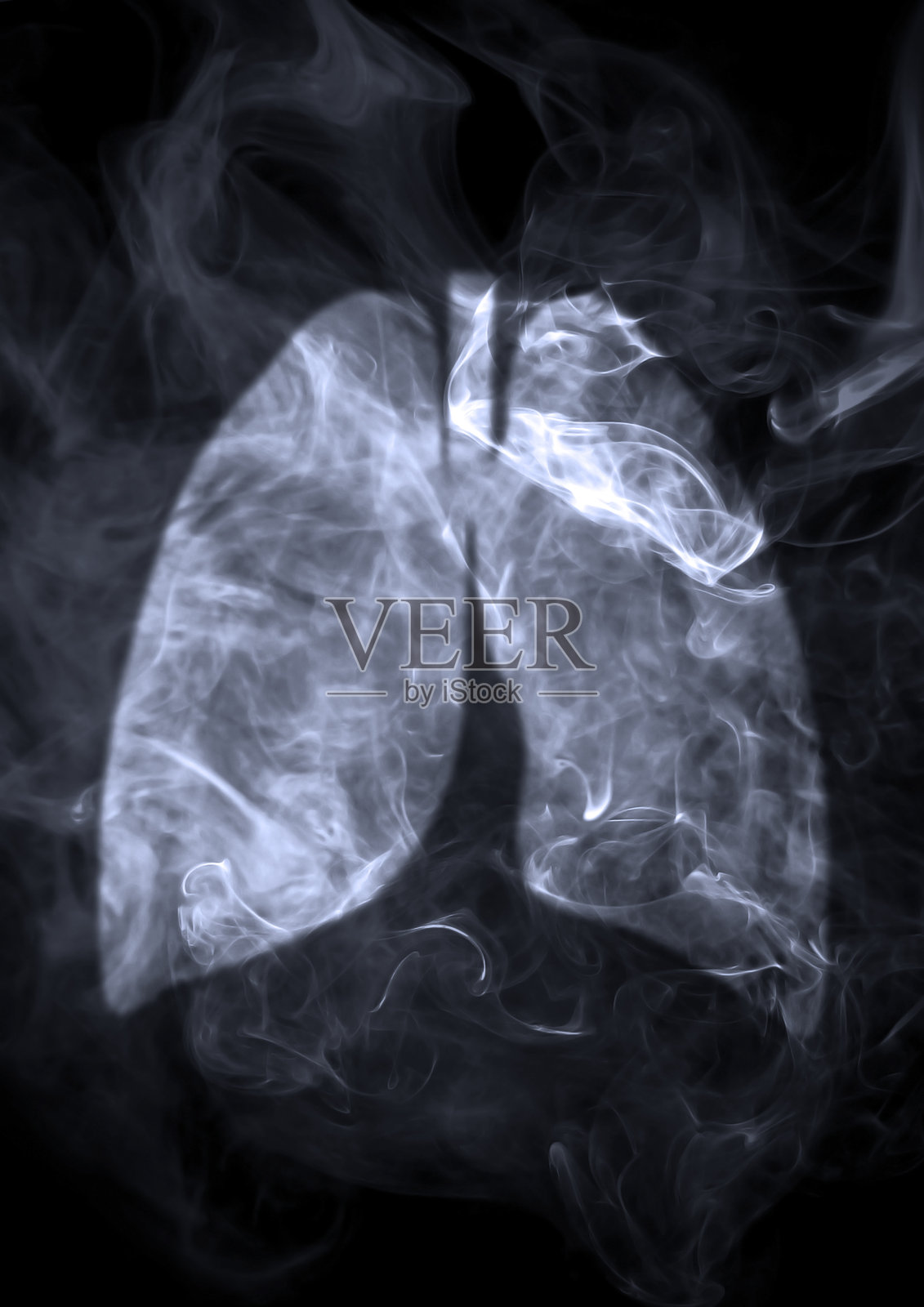 肺照片摄影图片
