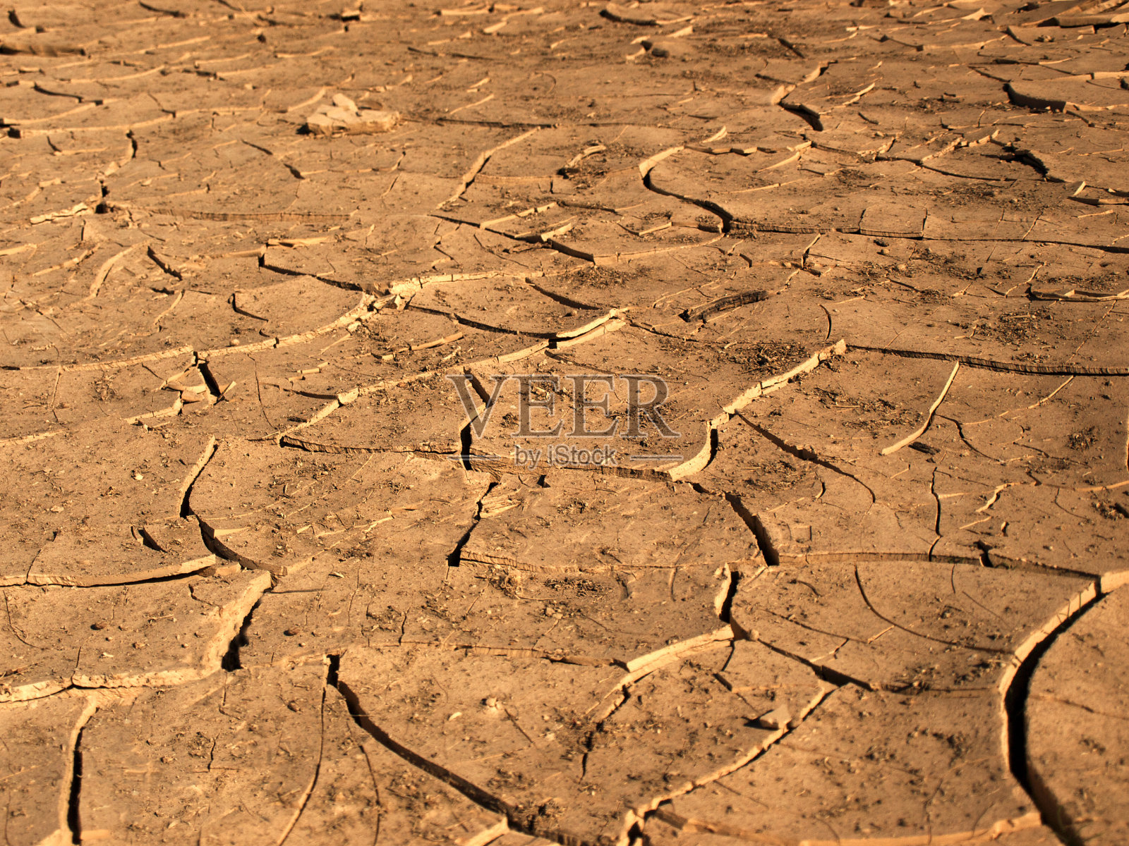 死亡谷国家公园干旱导致土壤开裂照片摄影图片