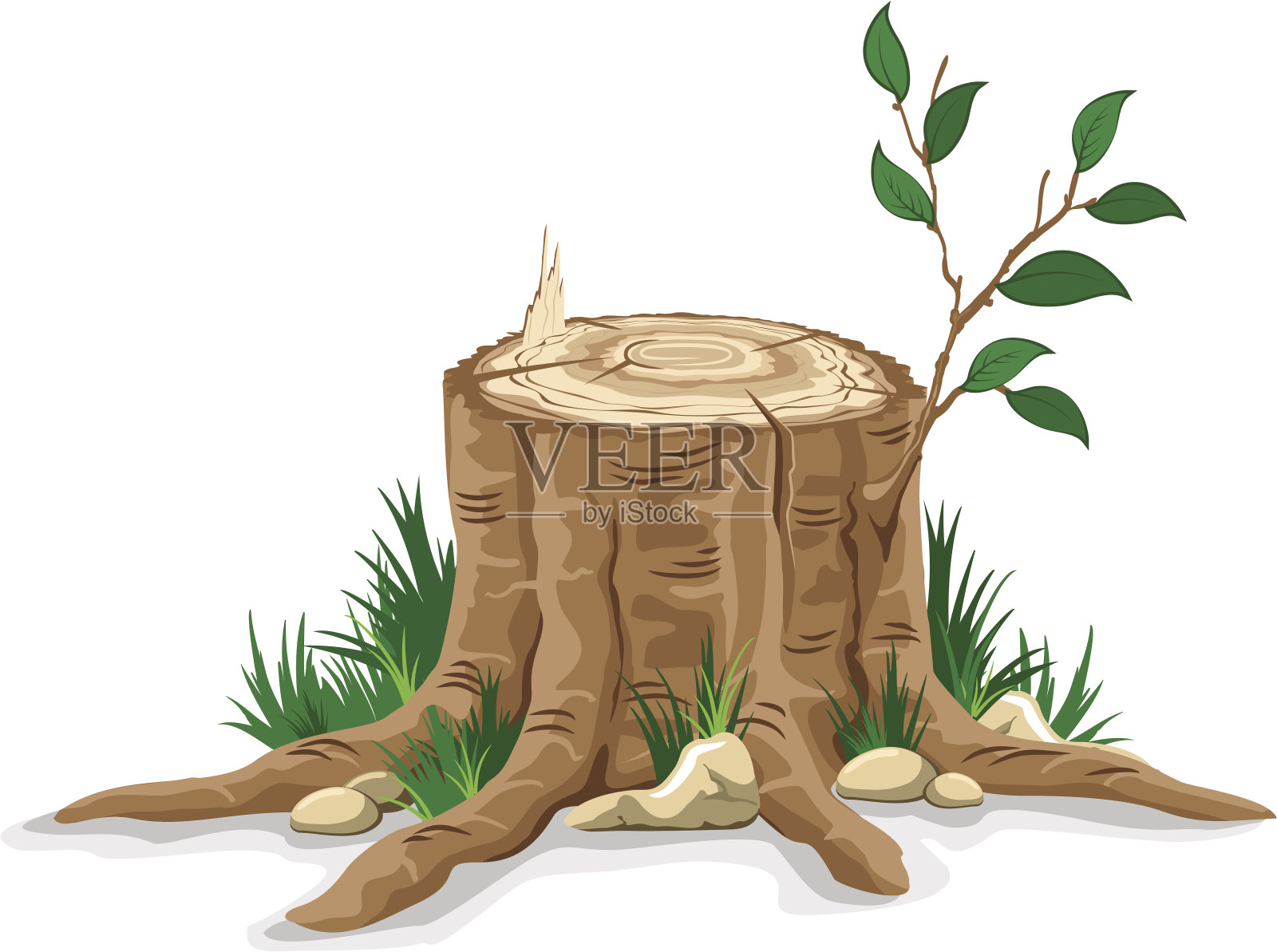 树桩插画图片素材