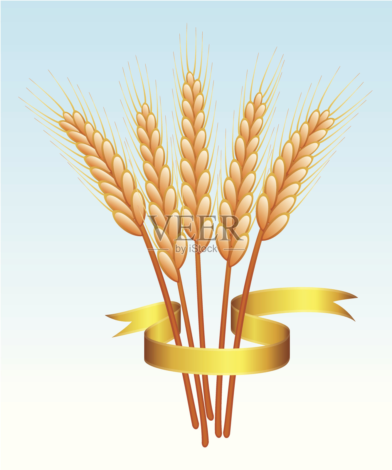小麦的耳朵插画图片素材