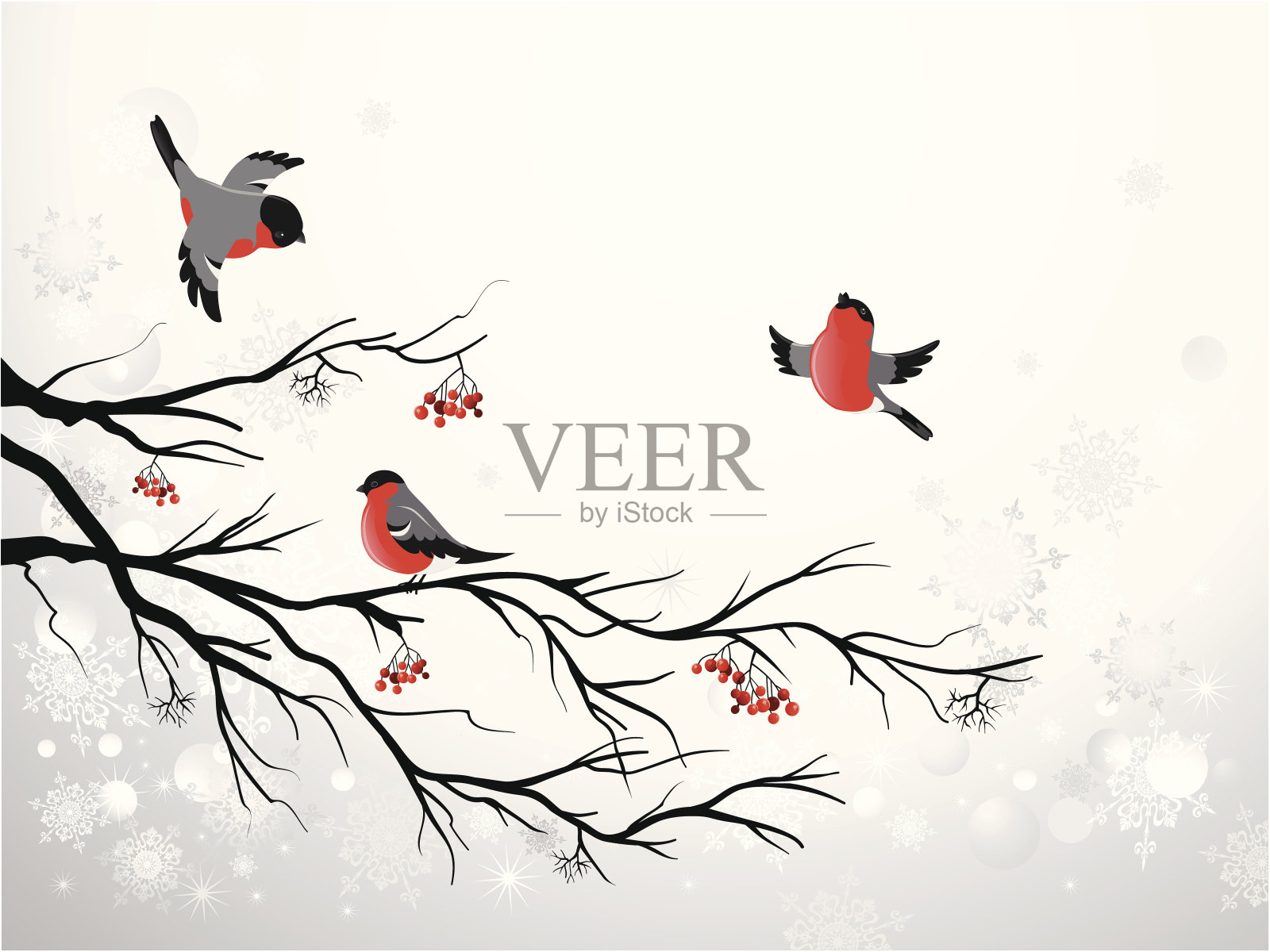 树枝和鸟类红腹灰雀插画图片素材