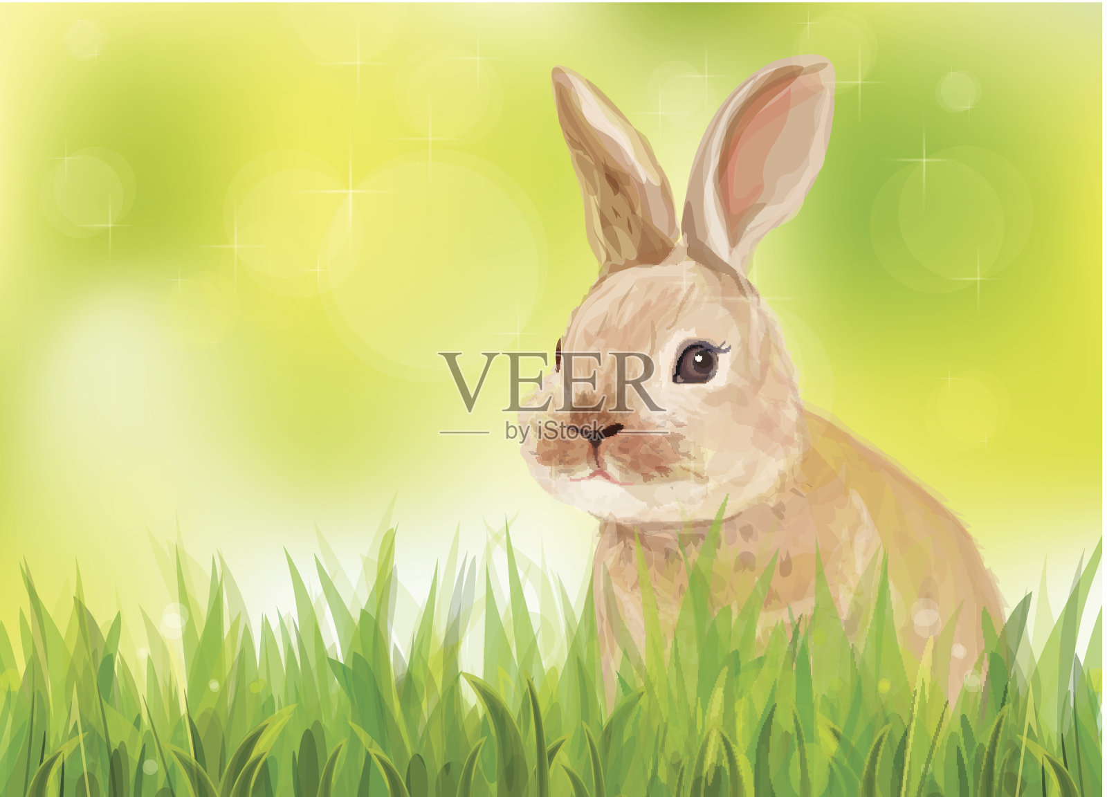矢量春天背景与兔子在绿色草地。设计元素图片