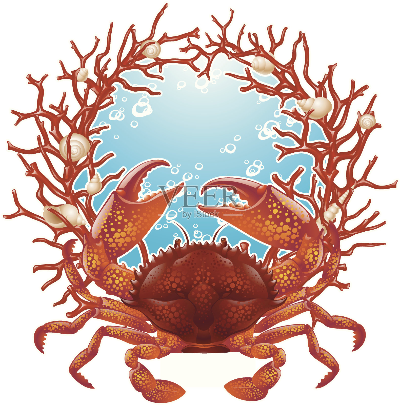 螃蟹和红珊瑚架插画图片素材