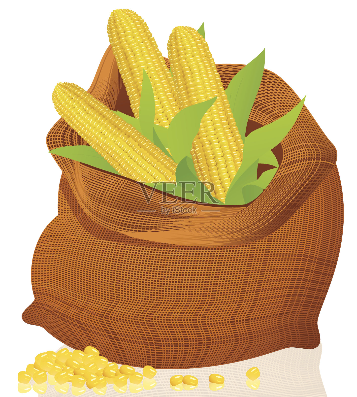 玉米袋插画图片素材