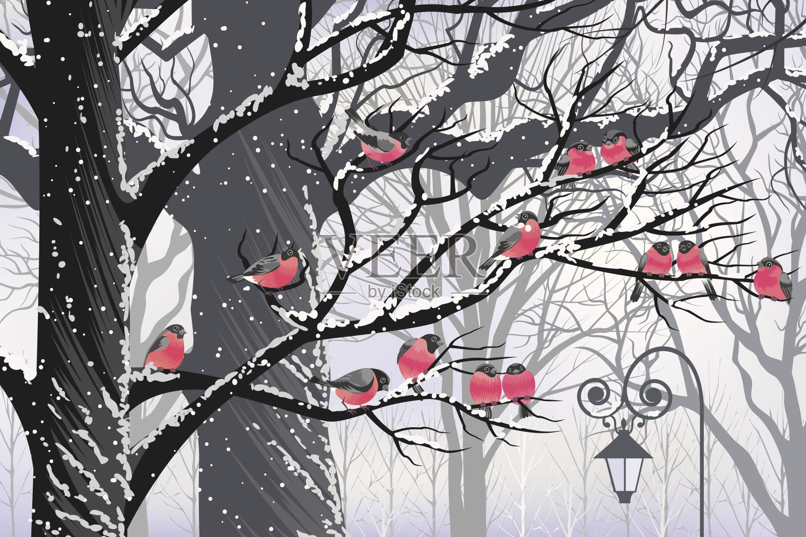 红腹灰雀在树上插画图片素材