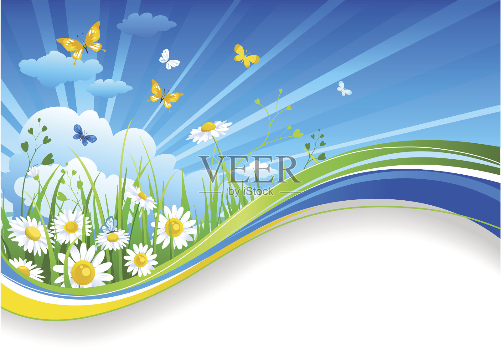 春菊和云的夏日旗帜插画图片素材