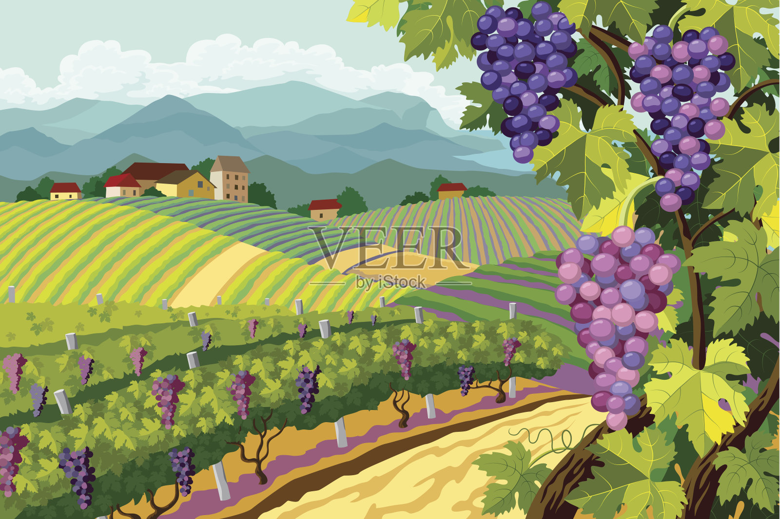 卡通形象的葡萄园与紫色的葡萄插画图片素材