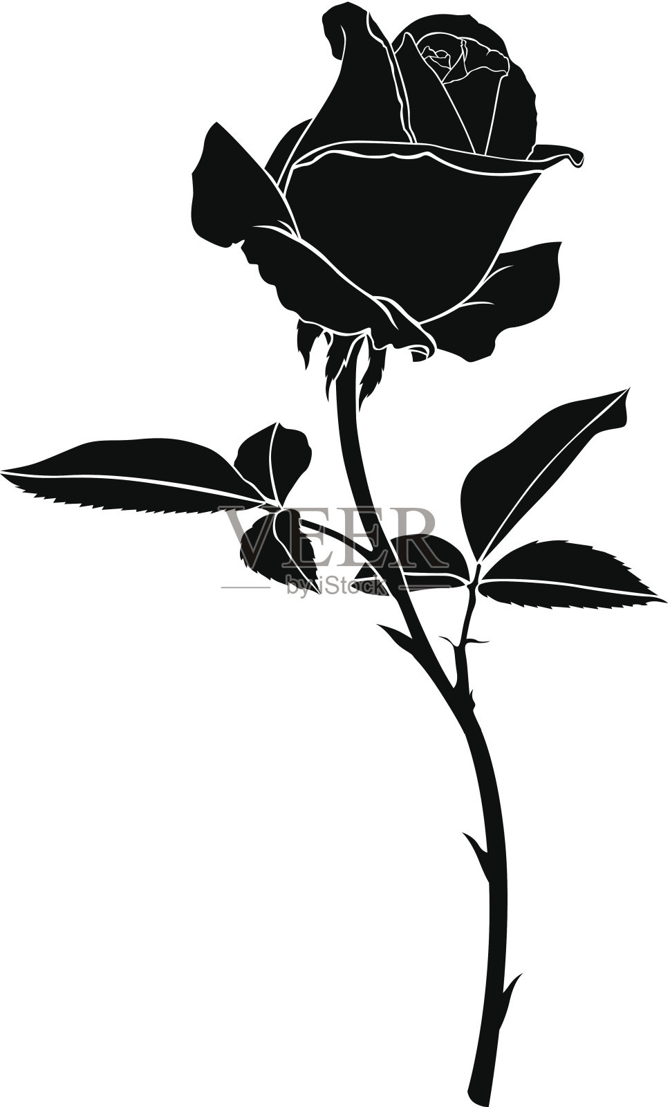 轮廓玫瑰花设计元素图片