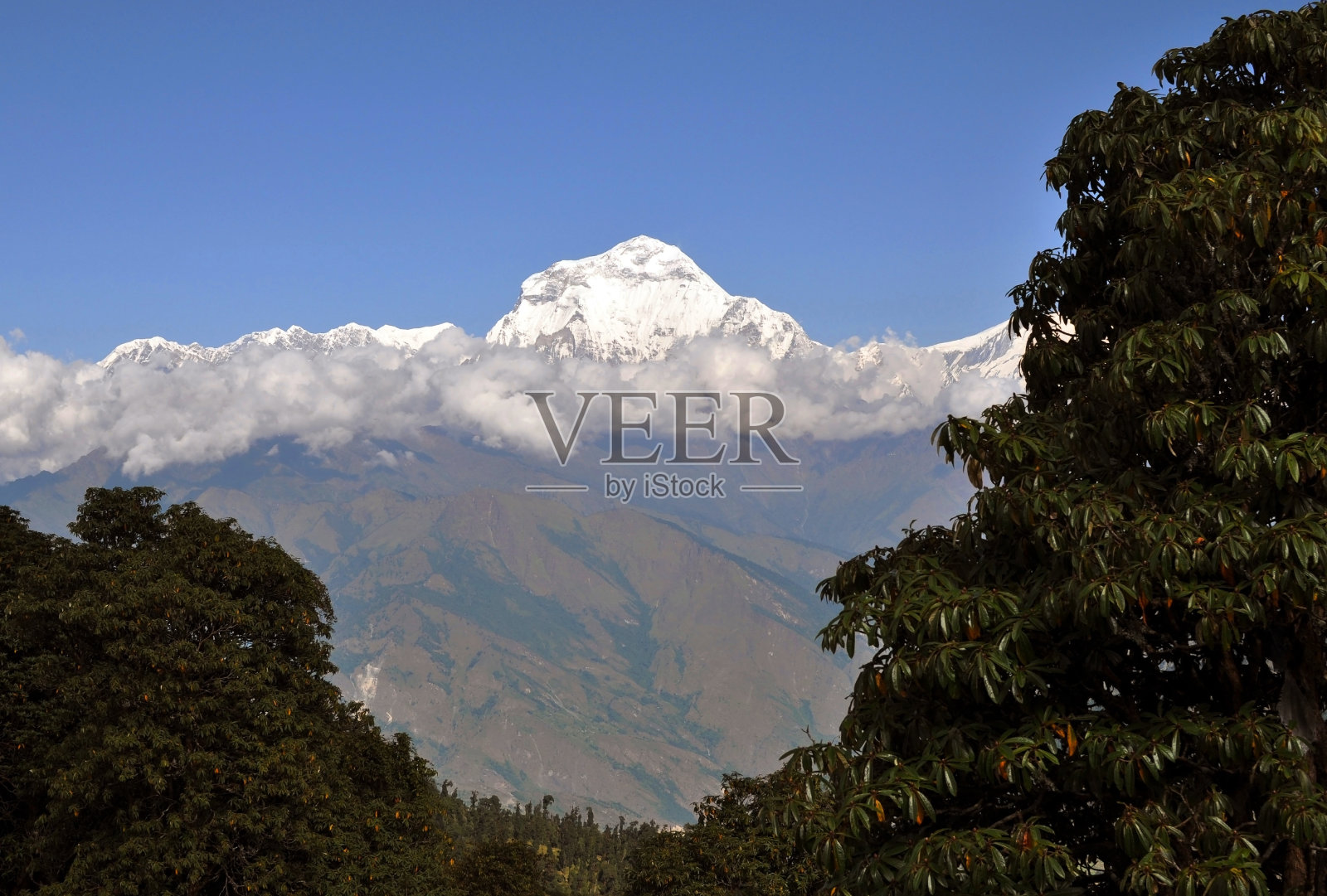 安纳普尔纳峰地块。尼泊尔。照片摄影图片