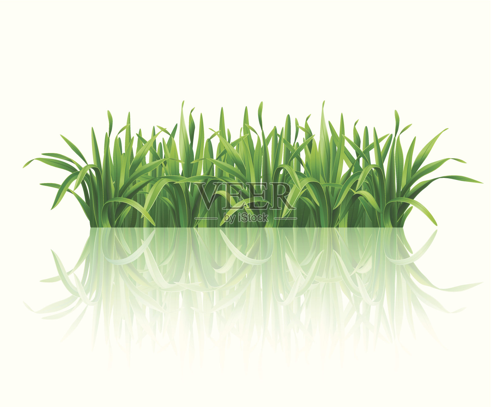 草。设计元素图片