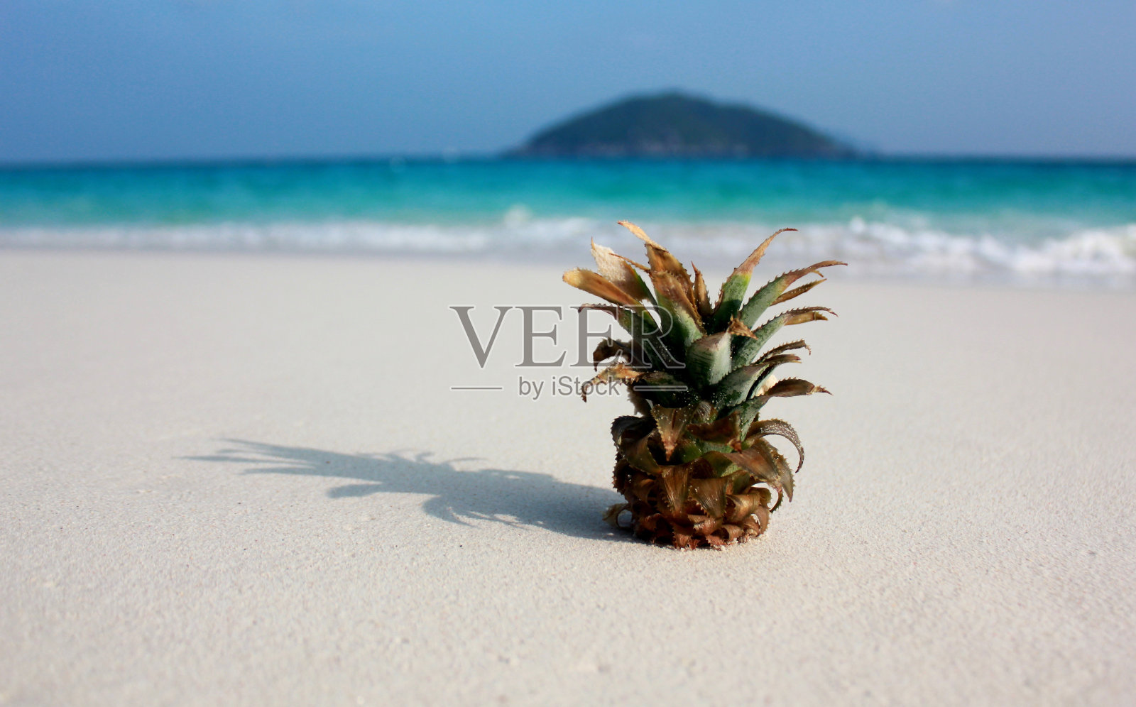 菠萝在海滩照片摄影图片