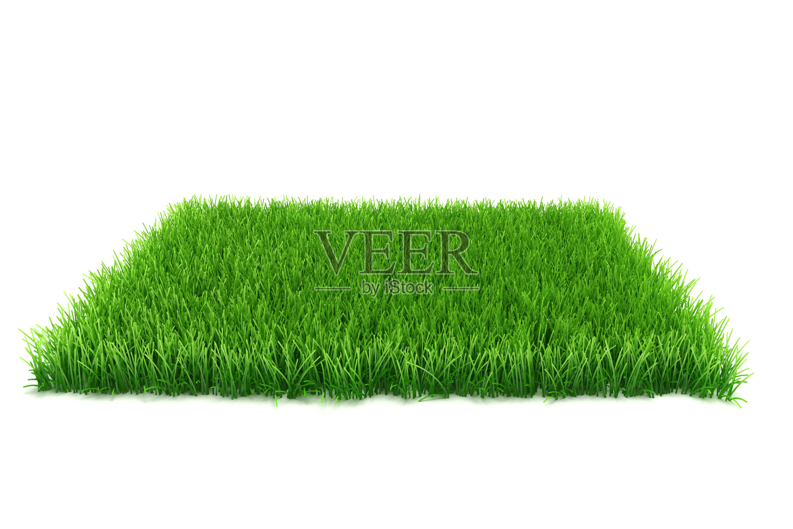 3d新鲜的绿草在白色的背景照片摄影图片