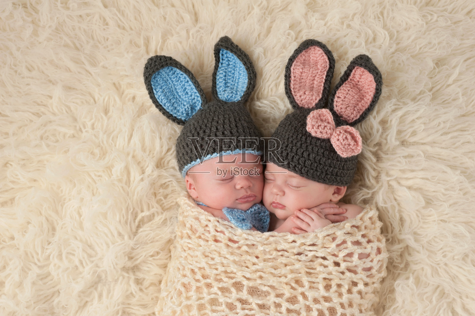 双胞胎新生儿穿着兔宝宝服装照片摄影图片