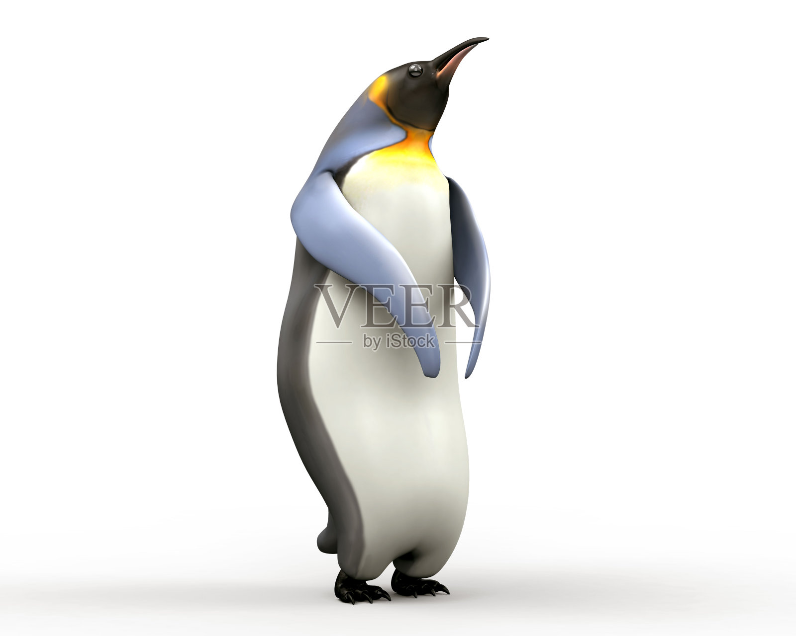 帝企鹅被孤立在白色的背景上设计元素图片