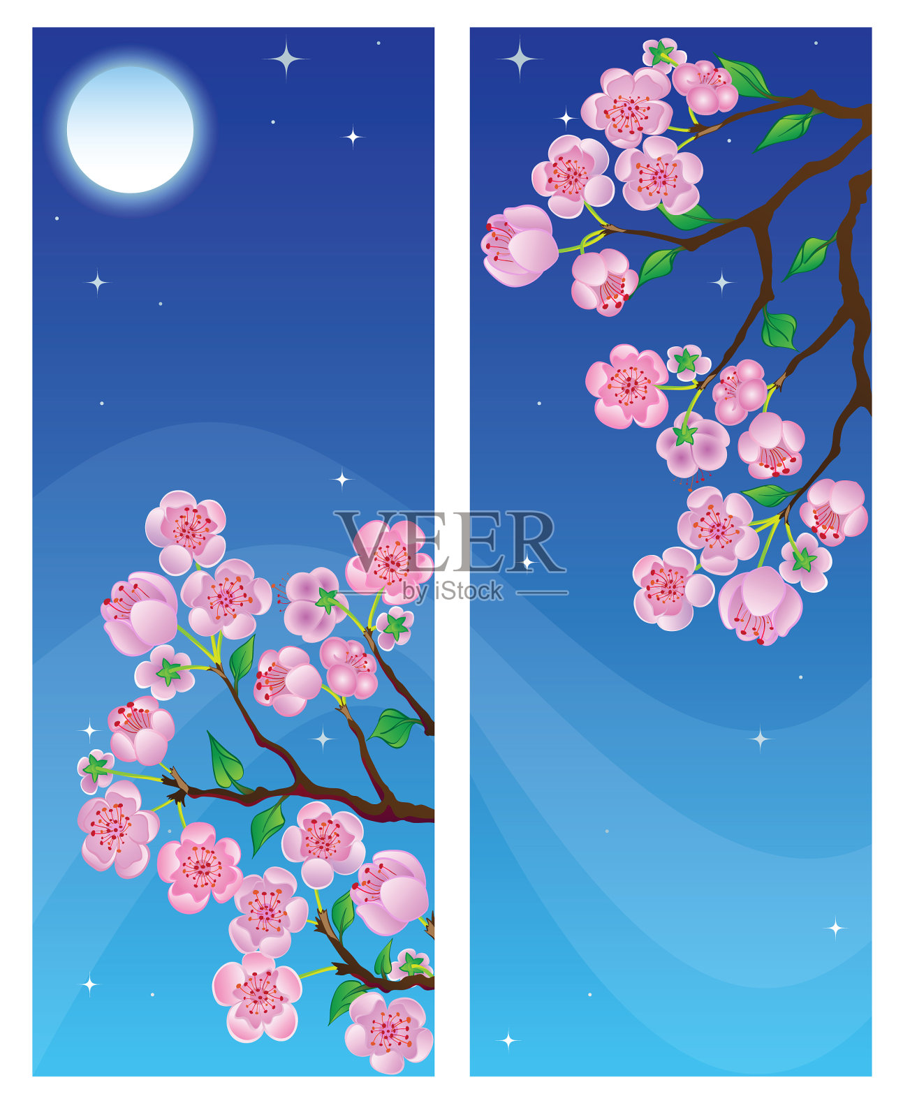 两个垂直的春天横幅与花枝在夜晚。插画图片素材