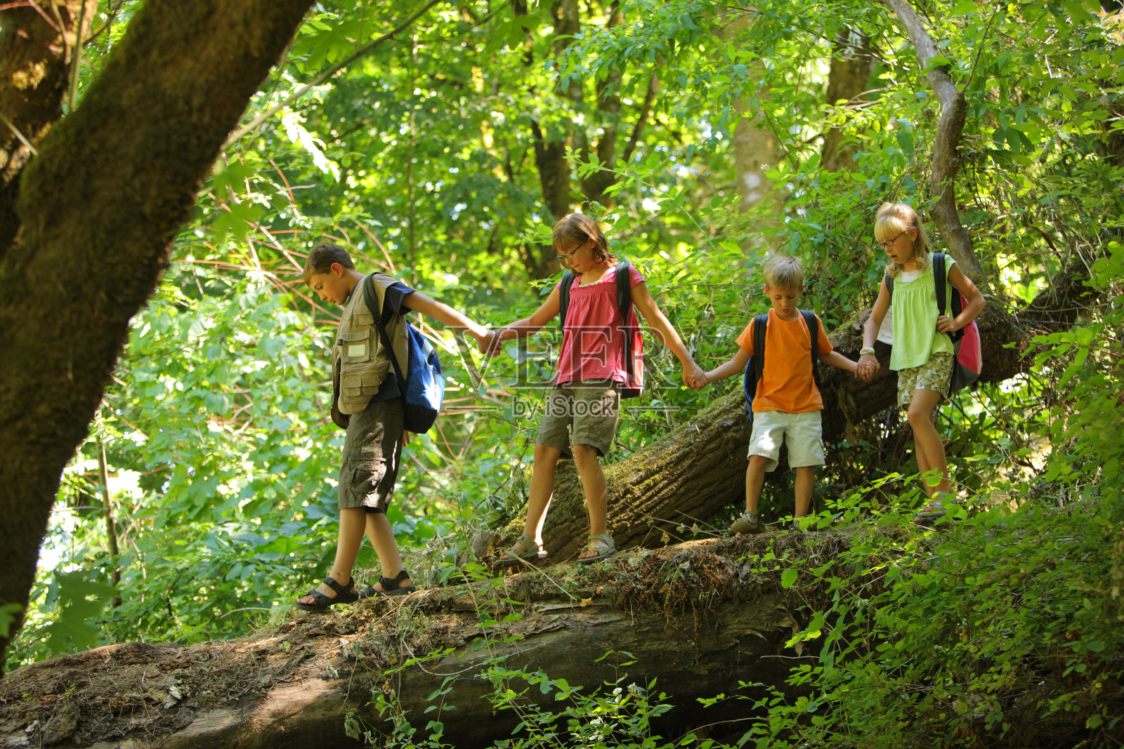 一群孩子在森林里的原木上行走照片摄影图片