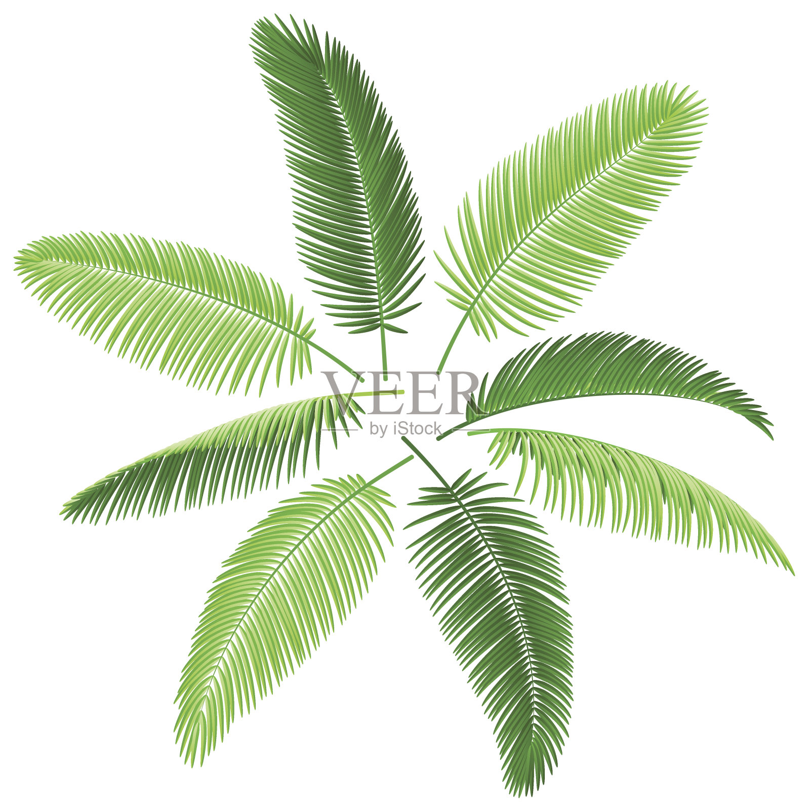 棕榈叶套装设计元素图片