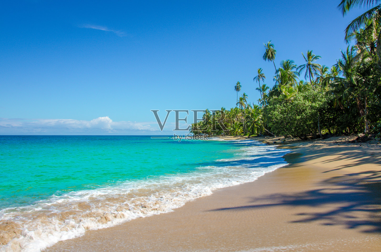 靠近波多黎各-哥斯达黎加的加勒比海滩照片摄影图片