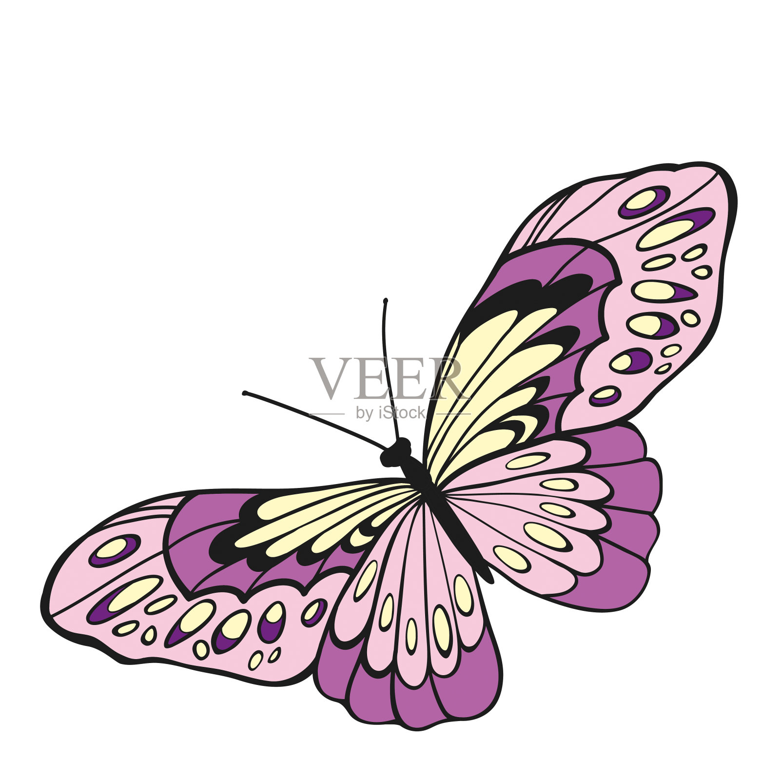 在俯视图中，粉红色的蝴蝶张开了翅膀。设计元素图片