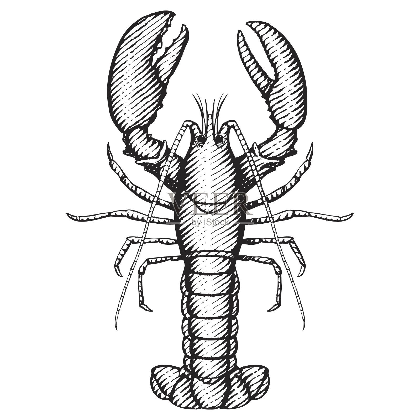 龙虾插图设计元素图片
