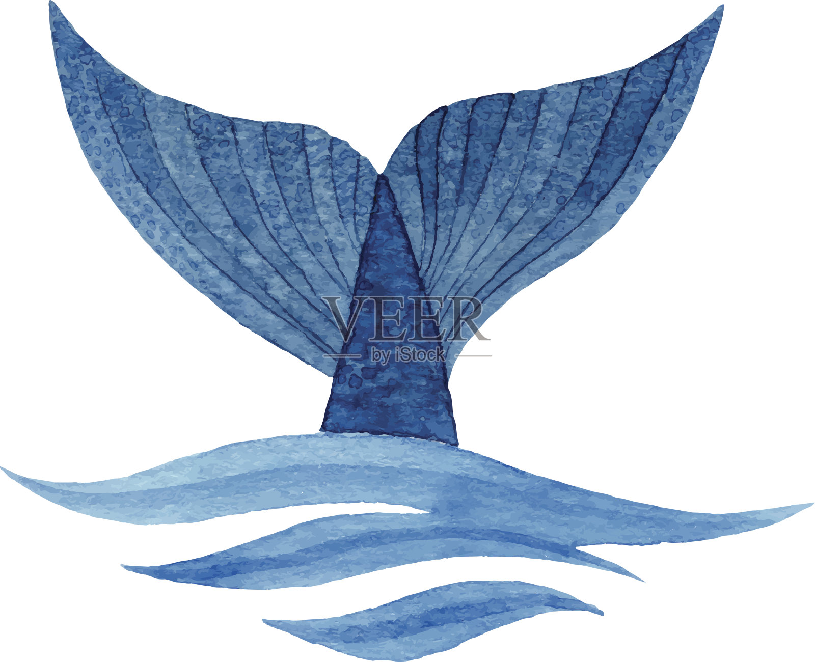 鲸鱼的尾巴插画图片素材