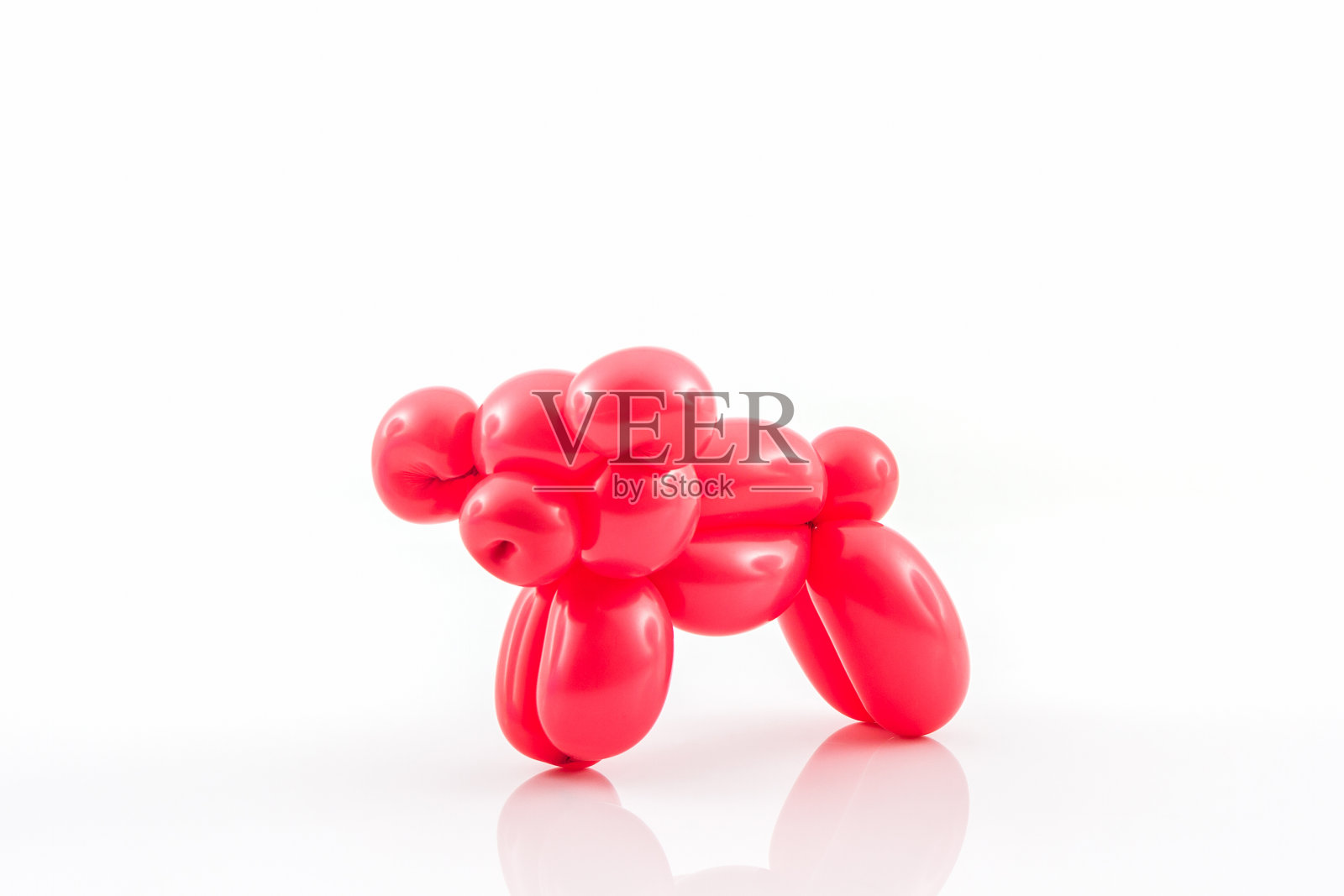 红猪气球动物动作姿势。照片摄影图片