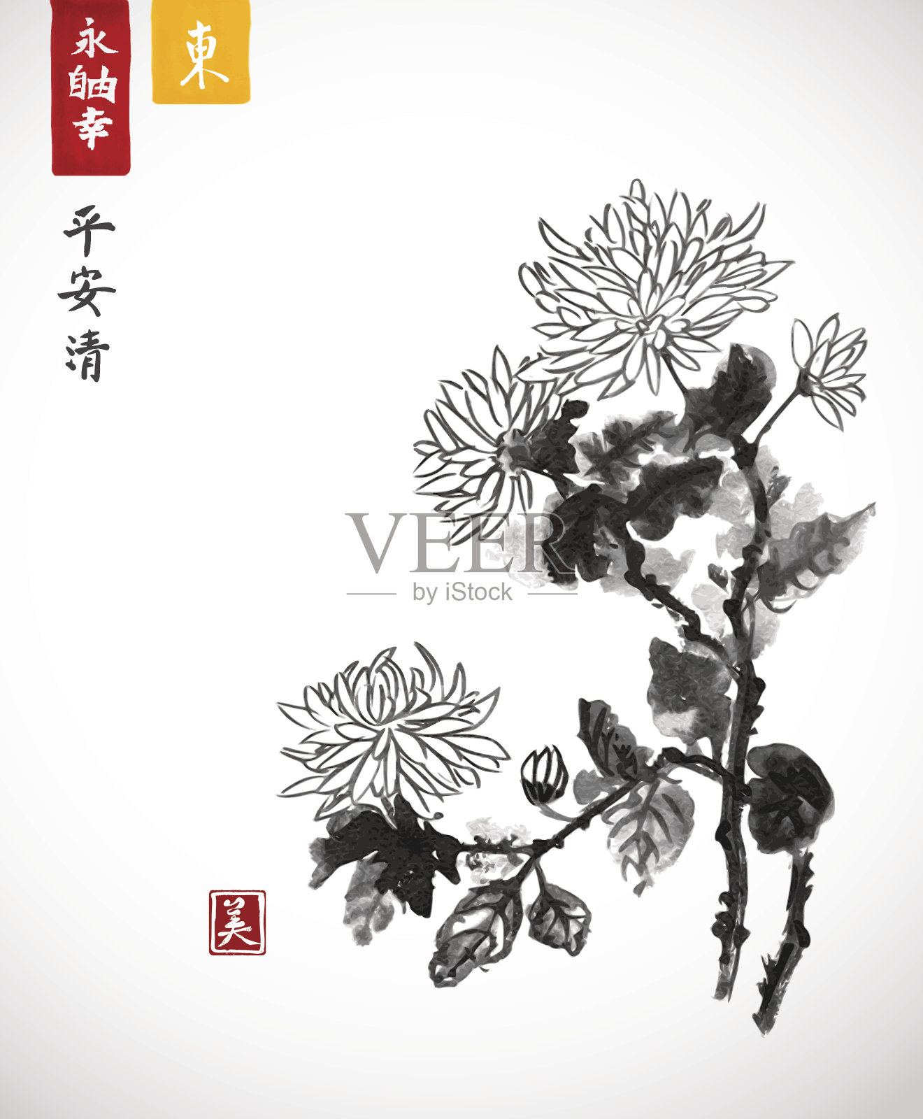 菊花的花。传统东方水墨画插画图片素材