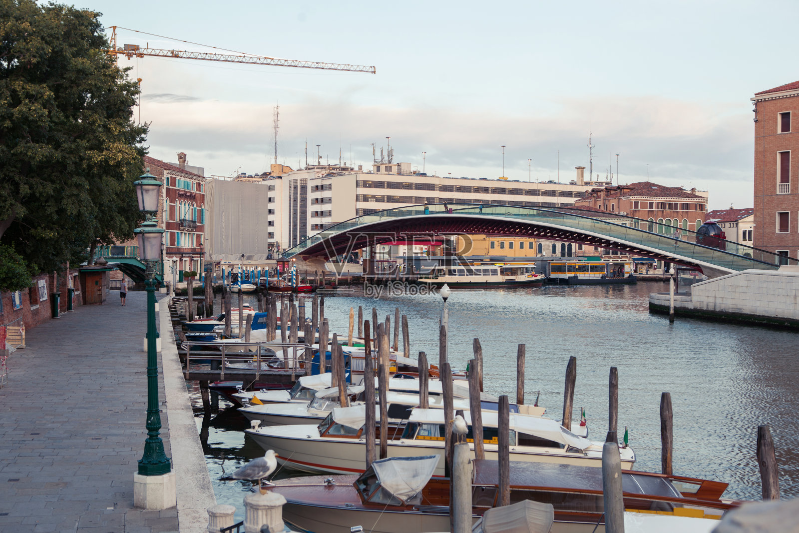 威尼斯学院的桥照片摄影图片