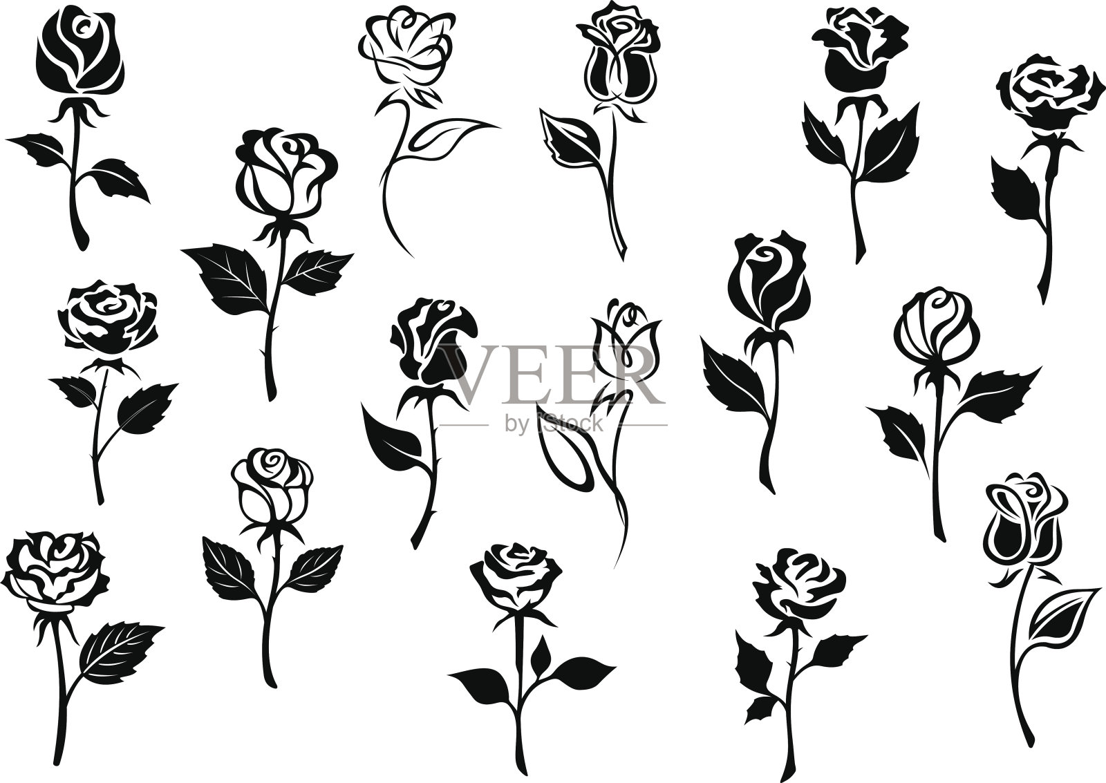 黑色和白色的玫瑰花插画图片素材